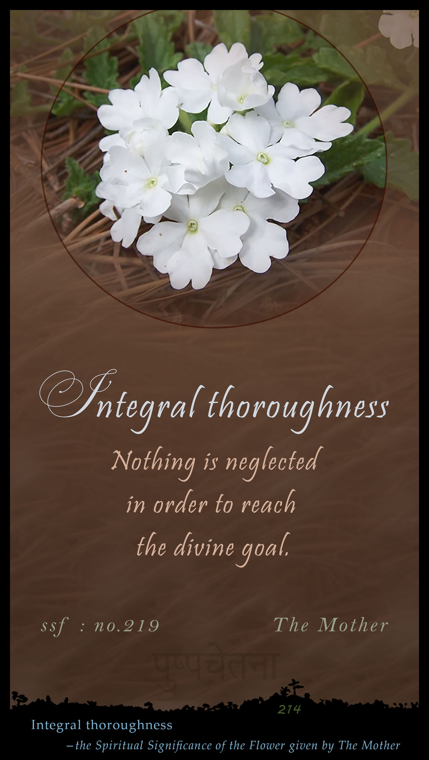 Integral Thoroughness